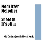 Modzitzer Melodies - Sholosh R'golim